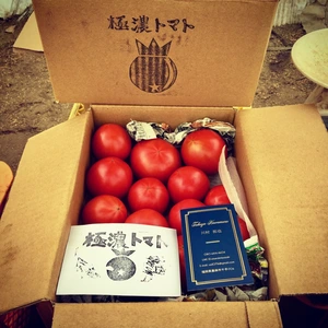 【特価！】 トマト2kg 収穫後すぐに届くトマトはいかがでしょうか！