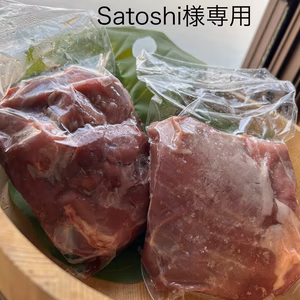 satoshi様専用