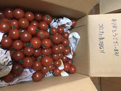 みんなの投稿の画像