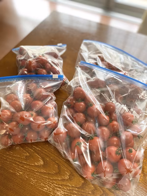 みんなの投稿の画像