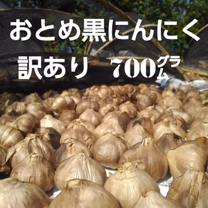 ☆訳あり 熊本産☆ おとめ黒にんにく700㌘ (農薬･化学肥料不使用) ニンニク