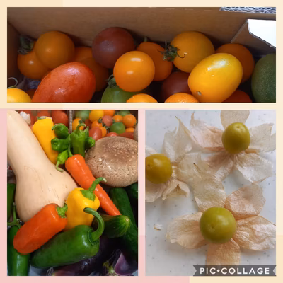 みんなの投稿の画像