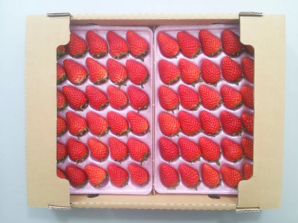 幸せイチゴ-ケーキ等デコレーション用2箱(静岡限定品種：きらぴ香）