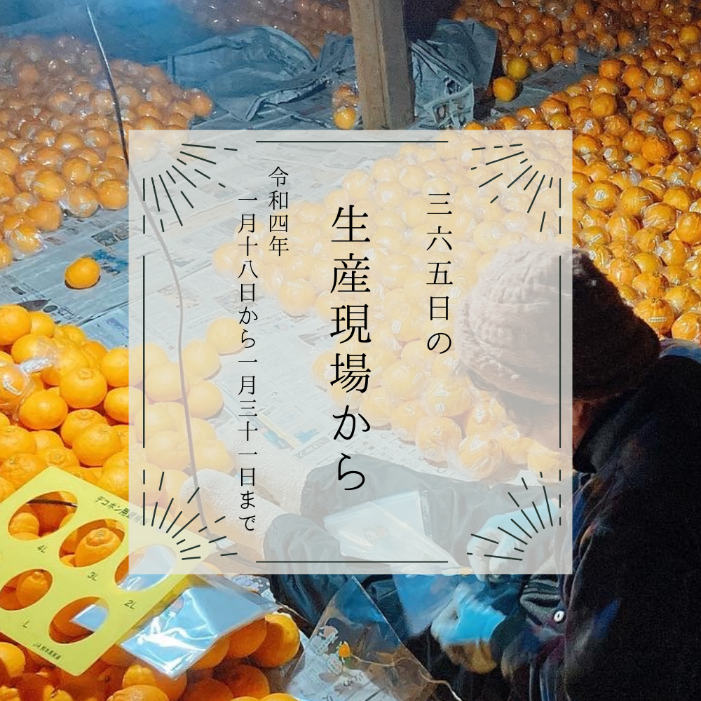 1月18〜31日の生産現場から、寒中の34投稿！ | 農家漁師から産地直送の