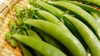 今からが旬★佐見のスナップエンドウ