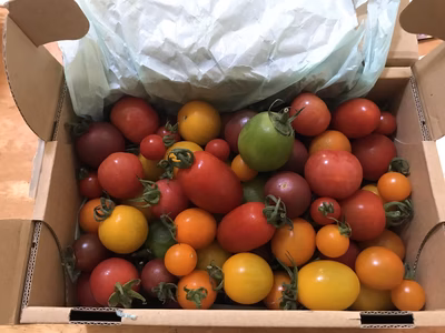 みんなの投稿の画像