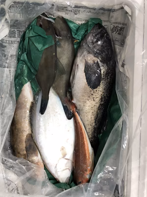 みんなの投稿の画像