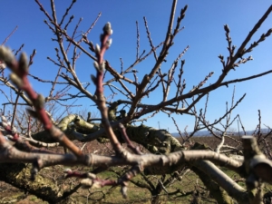 ファイル_5-1024x768