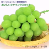 甘さ抜群！完熟朝採りシャインマスカット1.0kg以上 1～2房  山形県産