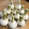 フレッシュにんにく