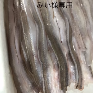 みい様専用