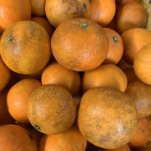 ジュース用まどんな 箱込4キロ  NO 3