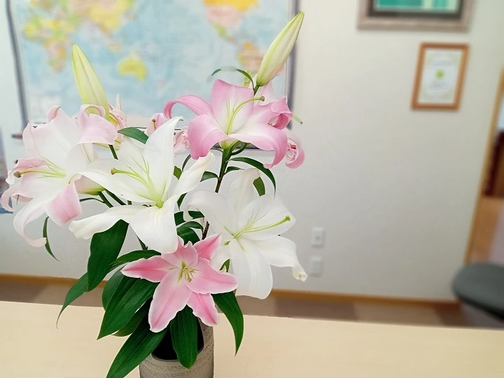 【6月16日（金）発送】新潟県産ユリ切り花 ※北海道、沖縄発送不可※　 