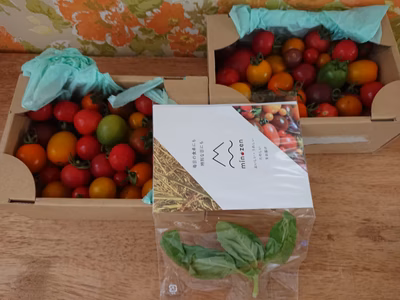 みんなの投稿の画像