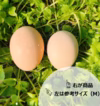 スモールサイズでお買得‼名古屋コーチンのタマゴ45個（シェア用パック付）
