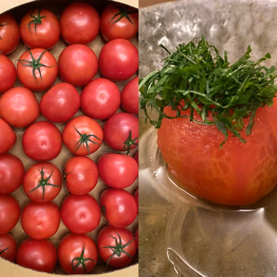 みんなの投稿の画像