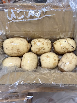 みんなの投稿の画像