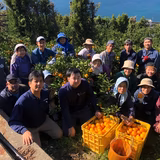 菊池太希 | みさき果樹園