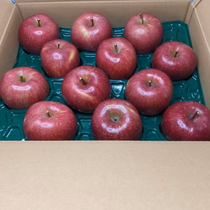 リンゴふじ24玉