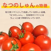【送料無料】希少な品種！果肉まで真っ赤 山形県産 加工用トマト なつのしゅん