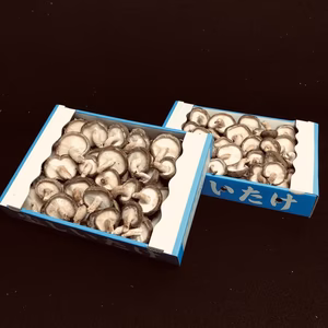 【2kg 】焼くだけ！極上の香りを放つステーキ。肉厚原木生椎茸「2kg」