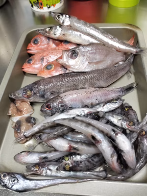 みんなの投稿の画像