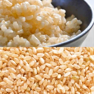 【玄米】食べ比べセット！もっちりコシヒカリ&あっさりこしいぶき【令和5年産】