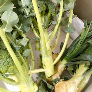 漁師畑そのままミニ福箱今日は１箱ブロッコリー葉つき新玉ねぎ　金柑セットもあったり