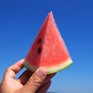 ☆植木すいか☆