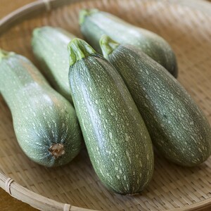【固定種・自然栽培】ズッキーニ 5本