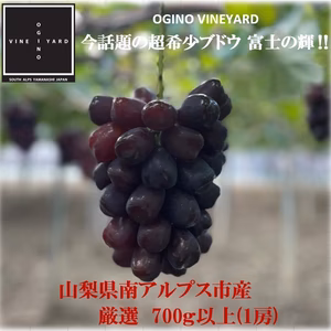 【数量限定】山梨県産 超希少高級ブドウ‼富士の輝(700ｇ以上/1房)