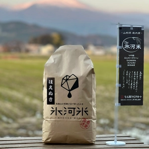氷河米「はえぬき」玄米 特別栽培米 令和4年産 山形県庄内産