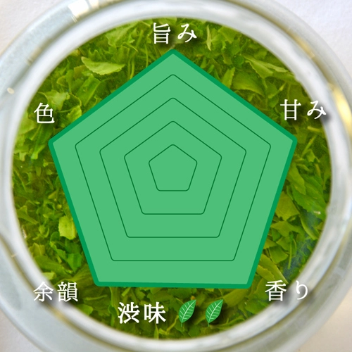”令和4年新茶”五感に染みわたる美味しさ！の日本茶 【煎茶 極】