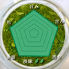 【2024年度産】五感に染みわたる美味しさ！の日本茶 【煎茶 極】