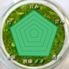”令和4年新茶”五感に染みわたる美味しさ！の日本茶 【煎茶 極】