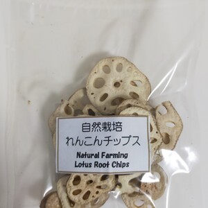 自然栽培れんこんチップス　2袋・自然栽培しそふりかけ　1袋