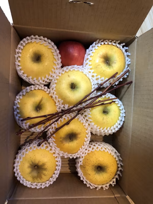 みんなの投稿の画像