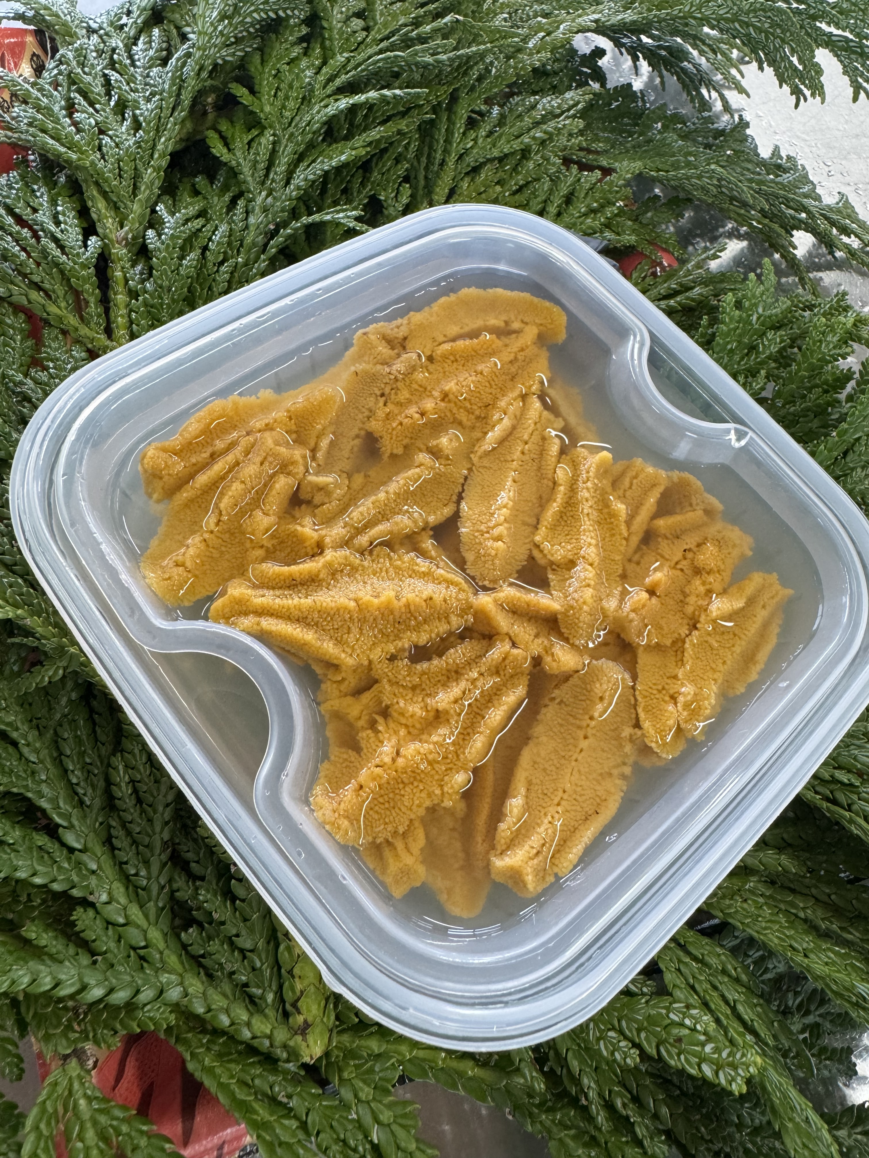 今旬】大間産天然生うに150g×2P｜ウニの商品詳細｜ポケットマルシェ