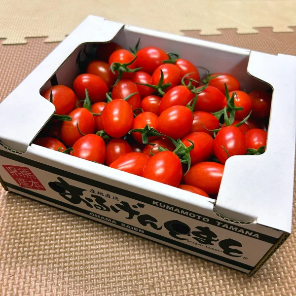 送料込み‼️】熊本県産 完熟アイコ 『おるげんとまと』｜野菜の商品