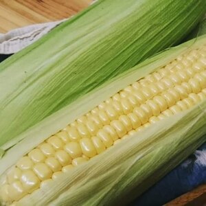 【農薬化学肥料不使用】新鮮！甘い！ 朝どりスイートコーン10本