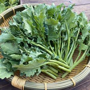 ≪予約販売≫☆有機JAS認証☆新鮮!のらぼう菜100g×6袋【3月発送予定】