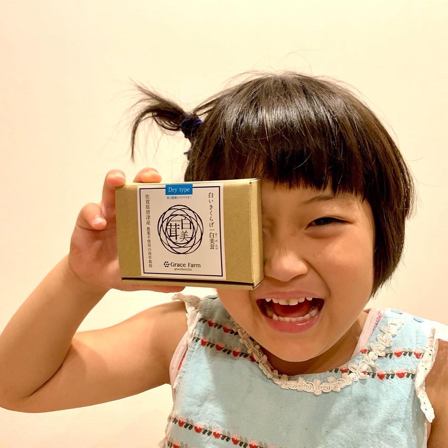 かわいいお手頃サイズ ミニ白美茸 白いきくらげ 乾燥10g 箱入りタイプ 農家漁師から産地直送の通販 ポケットマルシェ