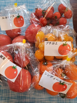 みんなの投稿の画像