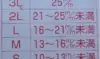 【7周年福袋】10％増量❗【朝採り即日出荷❗️】～至福の極甘ネギ～【無農薬栽培】