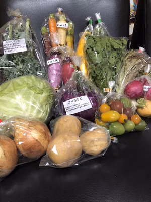 みんなの投稿の画像