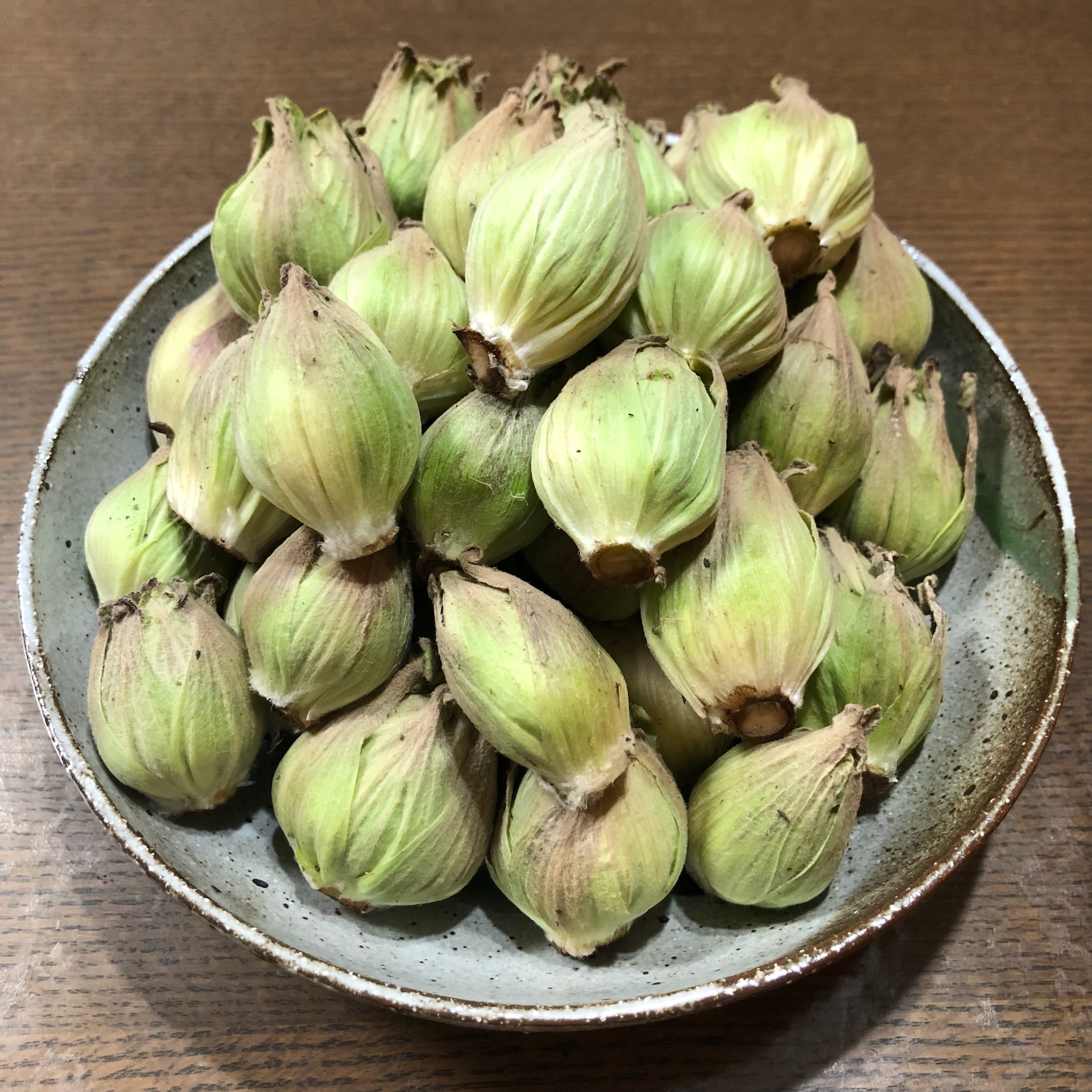 群馬産ふきのとう 300g以上 - 野菜