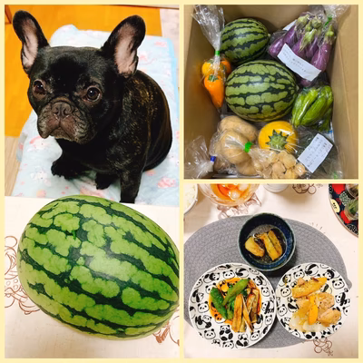 みんなの投稿の画像