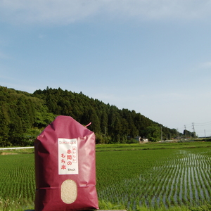 強い甘みとコシ！最高級のもち米『あかまのお米』～みやこがねもち～（５kg）
