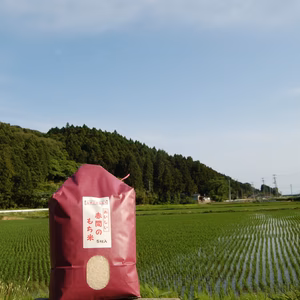 【令和3年産新米】強い甘みとコシ！『あかまのお米』～みやこがねもち５kg～