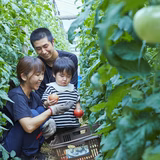 吉岡飛香 | 吉岡農園